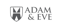 Web Developing Company
