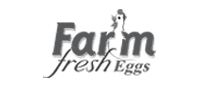 Mobile Application Development Company Kochi