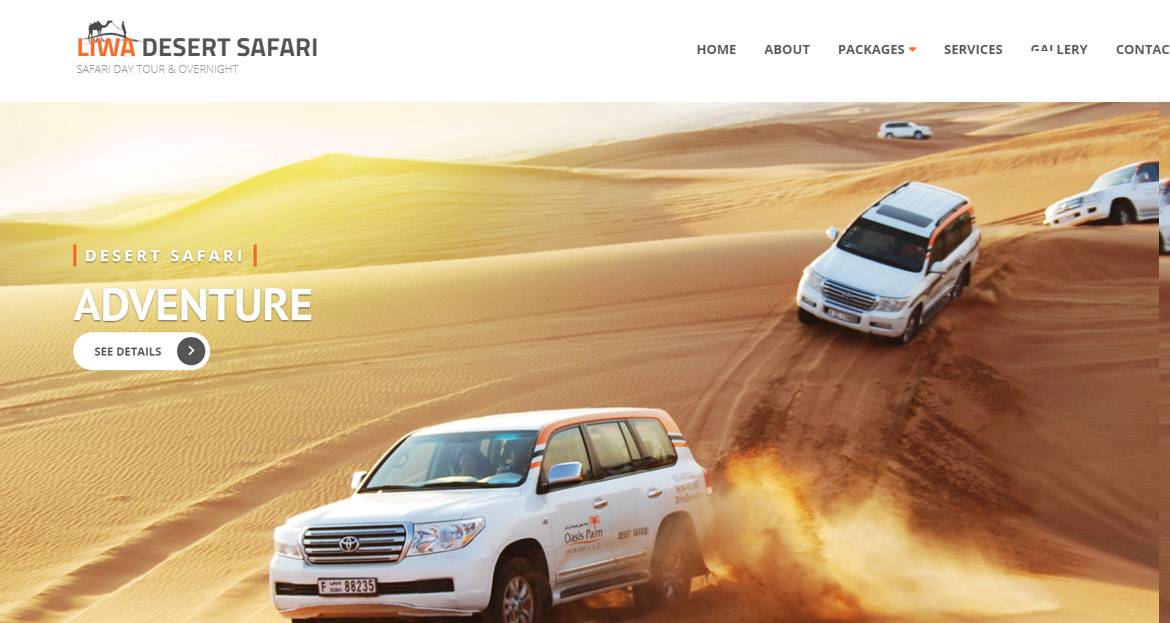 Travel Website Designers in Kochi